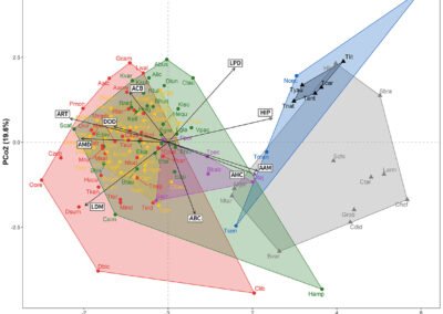 Exploración morfométrica de la ecología alimenticia de Thalassocnus