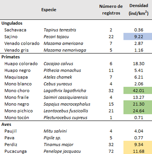 Monitoreo de densidad poblacional y abundancia relativa de animales de caza en el Sector Matanza de la Reserva Nacional Matsés, 2023
