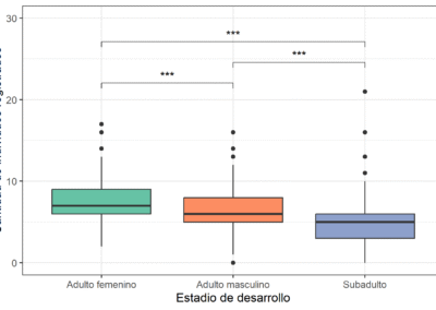 Diagnóstico del potencial de manejo del aguaje en la Cuenca Pintuyacu, Área de Conservación Regional Alto Nanay Pintuyacu Chambira, 2024